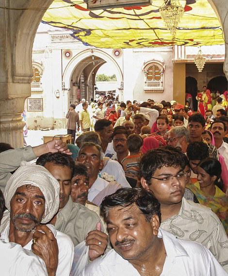 印度神庙供奉2万只老鼠 信徒每日送贡品朝拜(