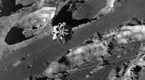 科学探索:月球UFO真实基地照片外泄 震惊全世