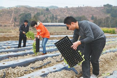 江西省安远县委组织部开展组工干部下基层,应