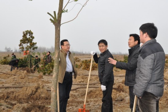 郑斌、王成山等定远县几个班子领导参加义务植