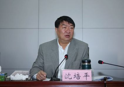 沈培平(资料图片)