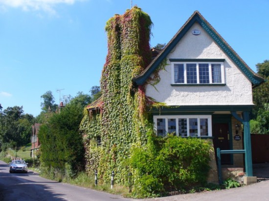 组图:低碳环保 世界各地被绿植覆盖的房屋