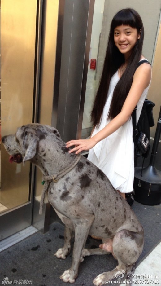 台湾清纯大提琴公主欧阳娜娜走红 清纯三姐妹