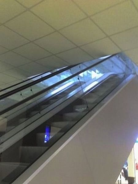 Щ̡׽Ľơ11