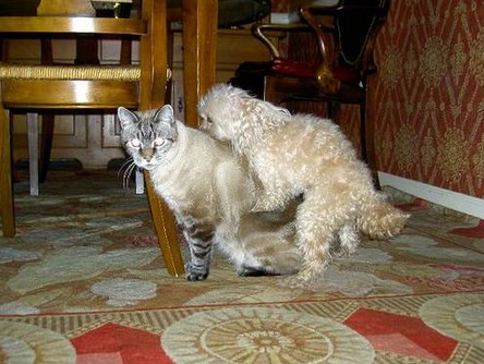 快来围观!动物界奇葩交配