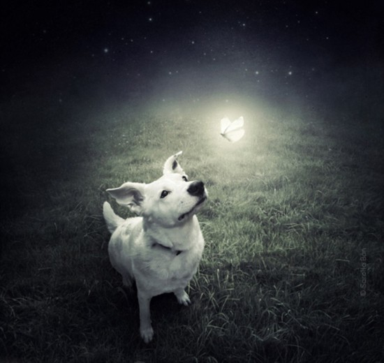 ӰʦΪ˹λФѰ