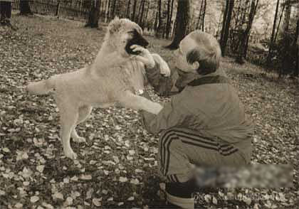 俄罗斯当选总统普京的就职典礼于2012年5月7