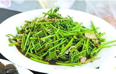 山菜之王蕨菜致癌?专家:真的!