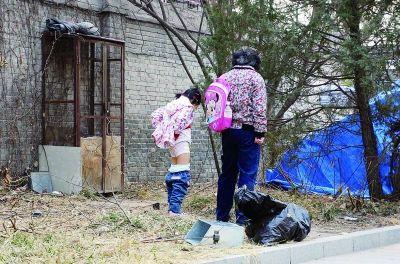 北京玉渊潭公园不文明现象频现樱花过劫图