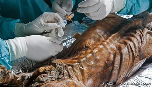 世界上最恐怖地方探秘(组图)