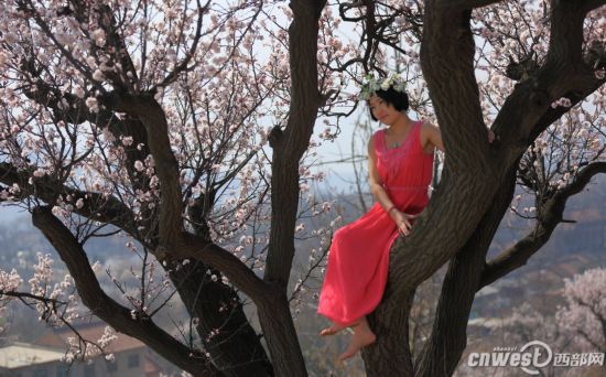 美女教你照相如何摆pose 拍出春天最美风景线