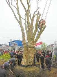 ��������830����ޱ�� �������º�ű���ӭ��
