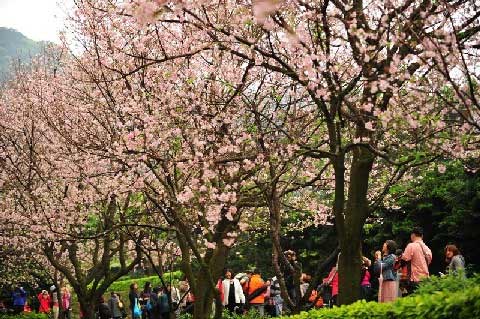 淡水北新路+踏进北台湾的秘密花园