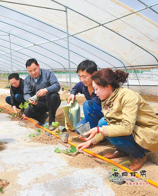 甘肃礼县_甘肃礼县人口