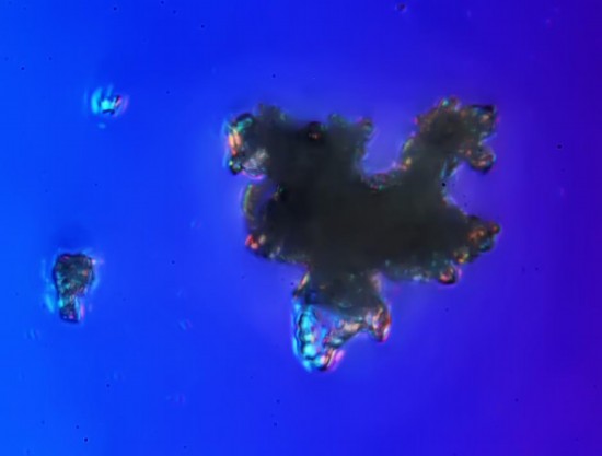 ĿģѷǧŴı
