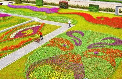 东西湖郁金香公园京剧脸谱园内+多色郁金香绘