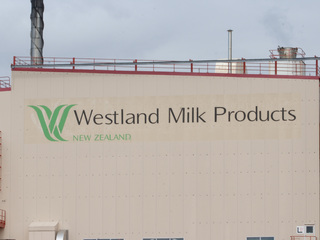 Westland milk dairy factory