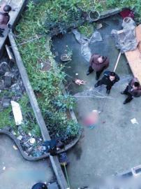 ����ŮӤ�ɱ�ˤ��¥������̨ ��ĸ��δ�ҵ�