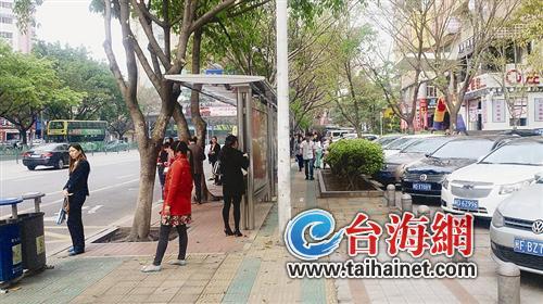 厦门:占道混行分割成自行车道三大障碍 专家建