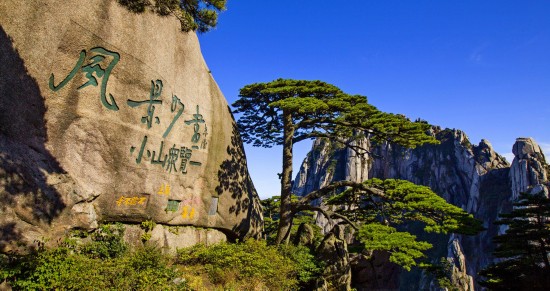 黄山五绝++奇松,怪石,云海