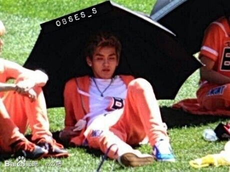 揭秘EXO全员理想女神 吃货鹿?钟意会做肉菜的