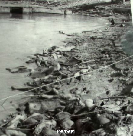 日本女导演拍南京大屠杀纪录片:基于良知和责