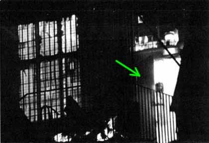 英星二代照片现鬼手自拍 揭全球著名灵异照(组