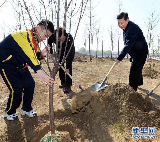 ��XHDW����2�����͹����쵼�˲μ��׶�����ֲ���