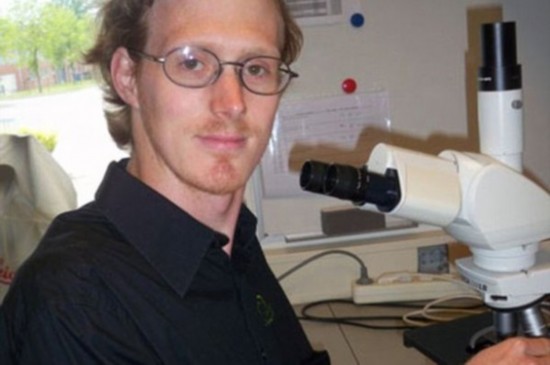 学生为做实验让蜜蜂蜇阴茎:为测试哪儿最难受