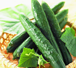 吃什么最能减肥?推荐十大最刮油食物 食物