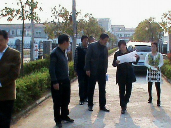 定远副县长张玲调研九梓中心学校扩建用地选址