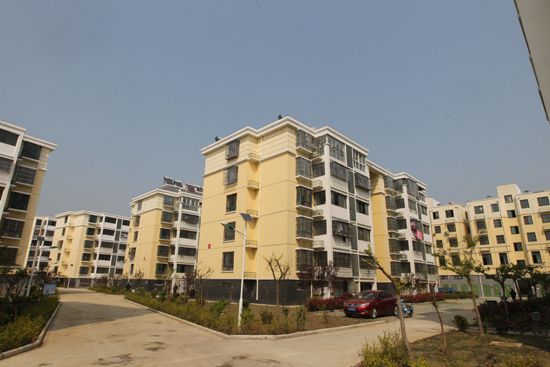 泗洪县开展第一季度观摩活动(一)