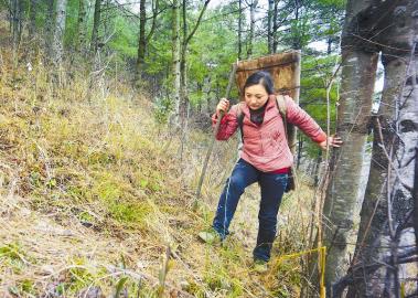 通江县铁厂河林场护林员景祥俊和她的《巡山日