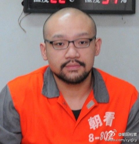 梦里花落知多少_李代沫一年收入多少