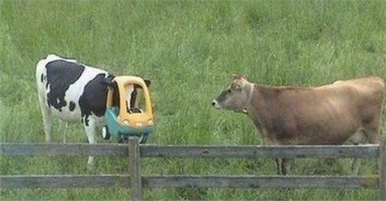 �����Q�_�e�}�f���� �Ӽƥ��y�Q�d�����b�ްʪ��̡]�չϡ^