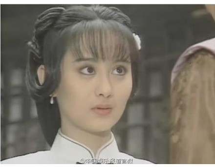 于正抄袭电视剧大盘点:琼瑶列举罪证袁姗姗自