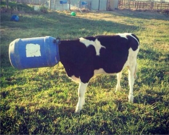 �����Q�_�e�}�f���� �Ӽƥ��y�Q�d�����b�ްʪ��̡]�չϡ^