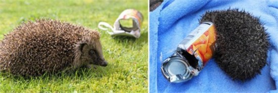 �����Q�_�e�}�f���� �Ӽƥ��y�Q�d�����b�ްʪ��̡]�չϡ^