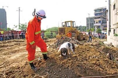 男童钻工地上厕所被埋身亡 推土机司机被控制