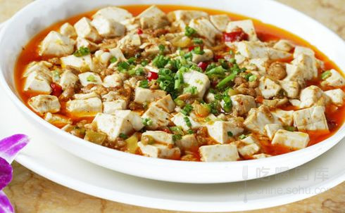 日本小吃推中国豆腐排行榜麻婆美食居首位--湖美食街论坛图片