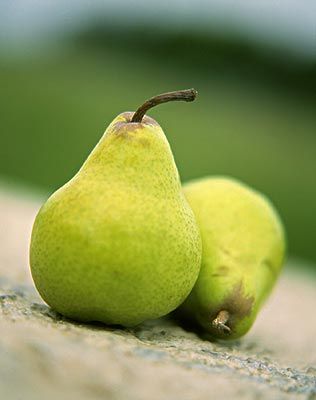 Һ㽶 ˮ߲а