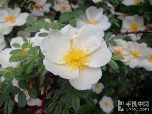 ʤŤKִ pQhS8 