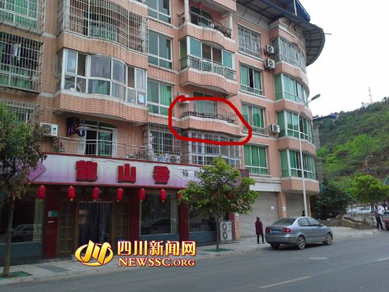 绵阳一市民在阳台上养蜜蜂 附近居民胆战心惊