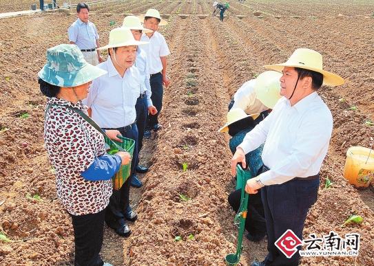 李纪恒:云南烟草产业要努力为稳增长增收入多