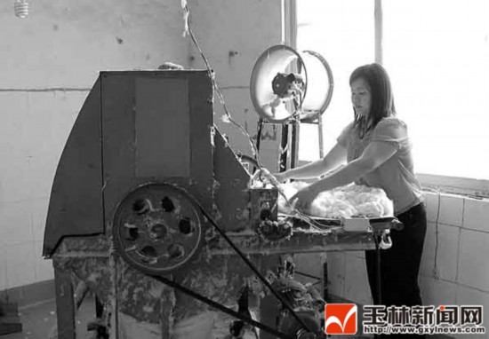 容县同古村:种桑养蚕走上致富路