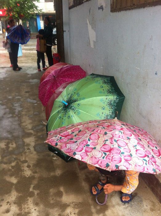 河南老师性侵16名女生:男孩看到致事件曝光(组