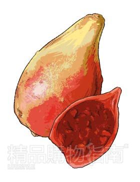 axiPd| Gǩ@