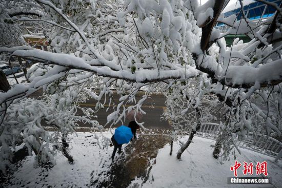 新疆多地迎极端天气 北疆暴雪南疆沙尘(高清组