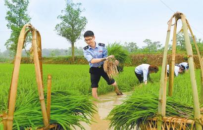 四川广安新录用公务员试用期与农户同吃同住同