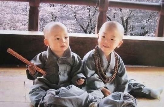 郑州版少林小子走红 图揭超可爱的呆萌小和尚